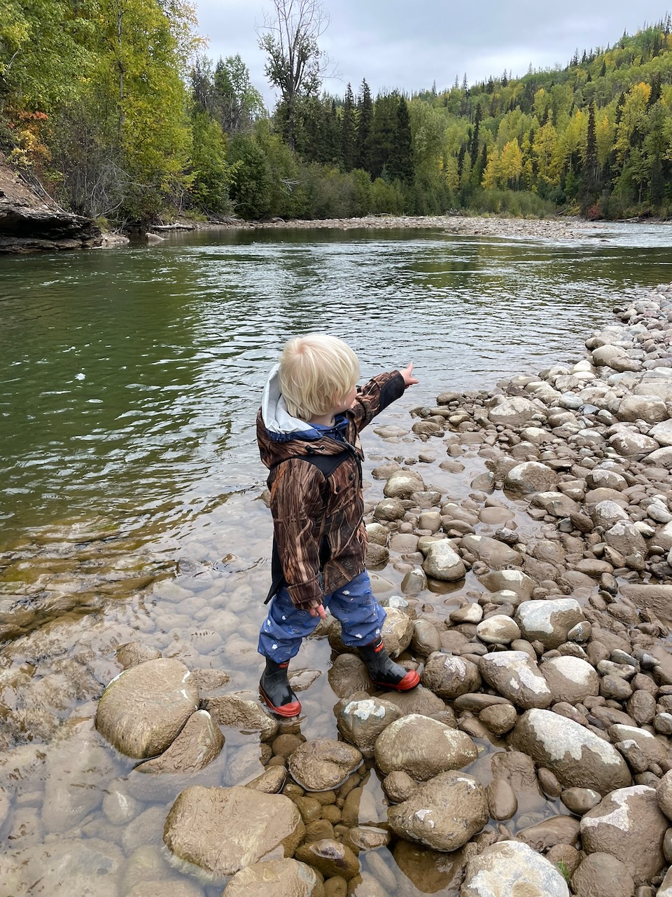 Pink Salmon Fishing on the Telkwa